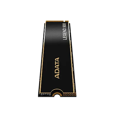 LEGEND 960 MAX PCIe Gen4 1TB כונן זיכרון פלאש לסוני 5 ומחשב LEGEND 960 MAX PCIe Gen4 1TB כונן זיכרון פלאש לסוני 5 ומחשב